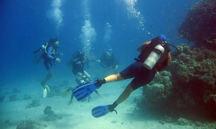 アリカンテ12- Apmto Playa Albufereta Rocafel 5アパートメント エクステリア 写真