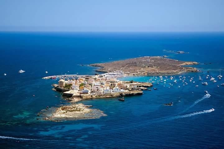 アリカンテ12- Apmto Playa Albufereta Rocafel 5アパートメント エクステリア 写真